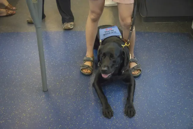 ลูเต้อร์ปฏิบัติภารกิจได้อย่างไม่มีข้อบกพร่องในทริปแรกของการพาทรายขึ้นรถไฟฟ้าบีทีเอส