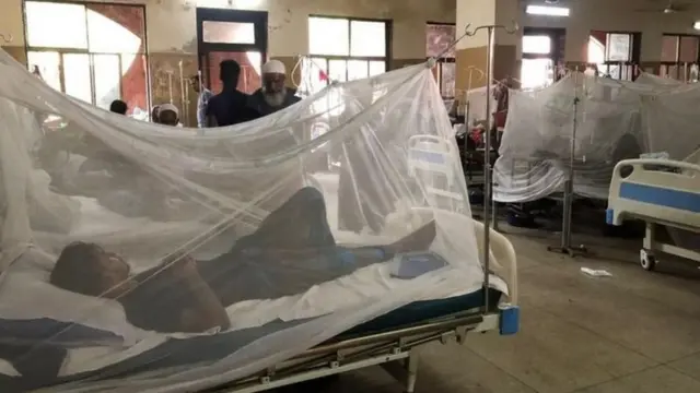 ঢাকার একটি হাসপাতালে মশারির ভেতর রেখে ডেঙ্গু রোগীদের চিকিৎসা দেয়া হচ্ছে