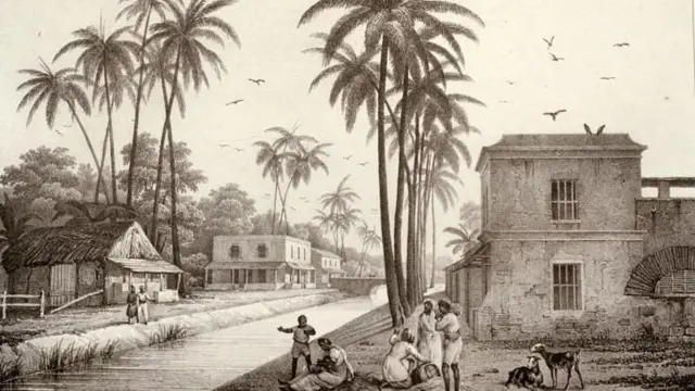 प्रातिनिधिक फोटो