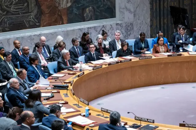 संयुक्त राष्ट्र सुरक्षा परिषद की बैठक