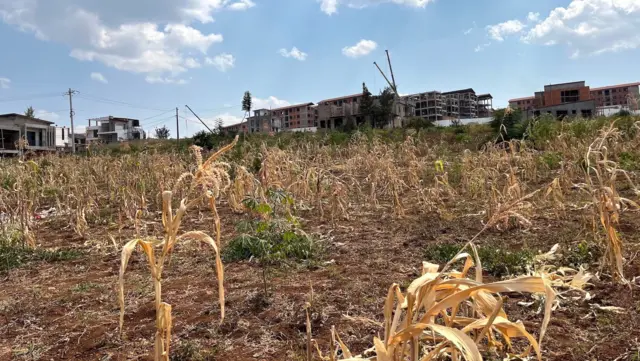 Agaciro k'ikibanza hafi y'uyu mushinga abahaturiye bavuga ko kukibye inshuro zirenga 10