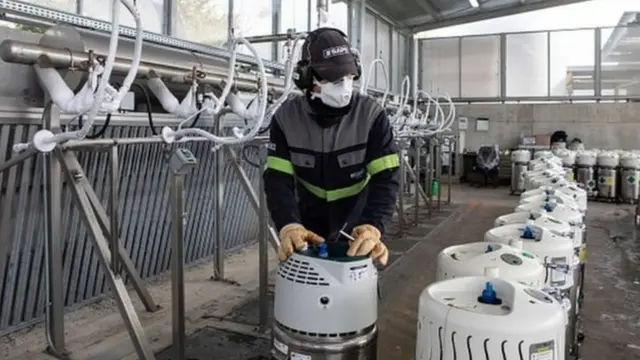 industri di italia utara