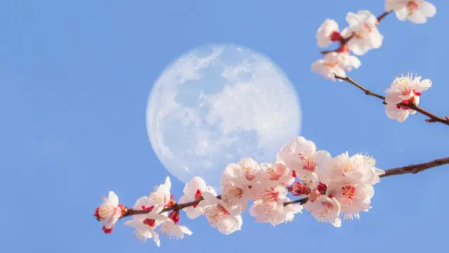 luna llena