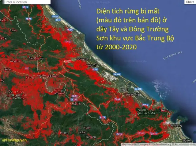 Dien tich rung bi mat o VN