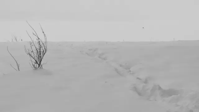 Цвета: серый