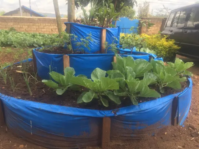 Jean Claude Manirafasha