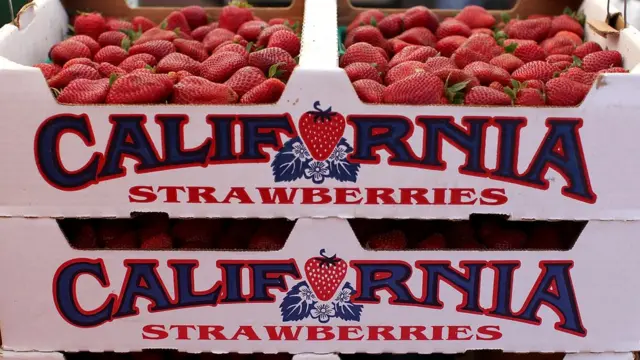 میوه آمریکایی