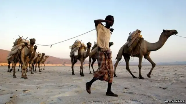 شخص من بدو عفار ينقل الملح