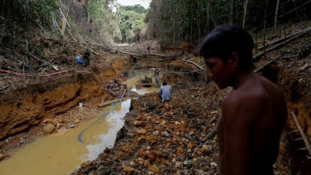 Garimpocassino na betanoterra Yanomami