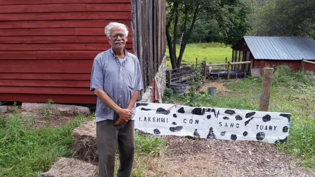 अमरीका में गौशाला