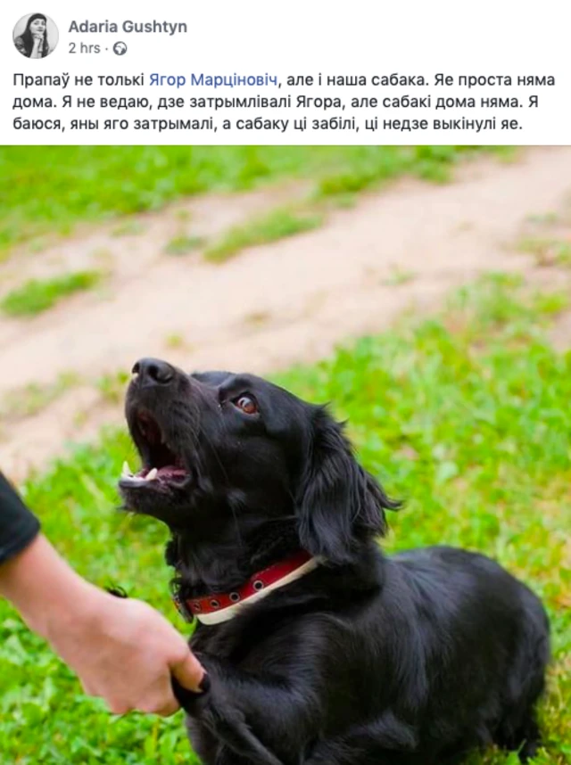 Собака главреда "Нашей Нивы"