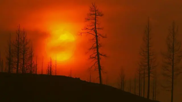 تغییر اقلیم باعث شده دمای زمین بیش از یک درجه افزایش یابد