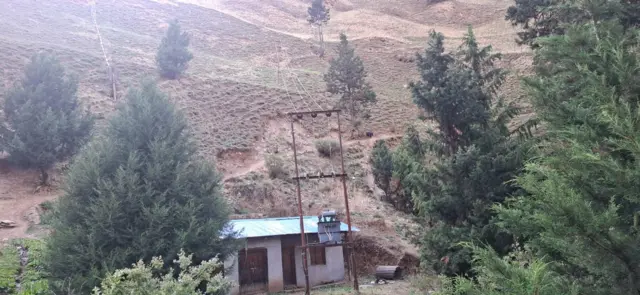 डोल्पा यार्सागुम्बा