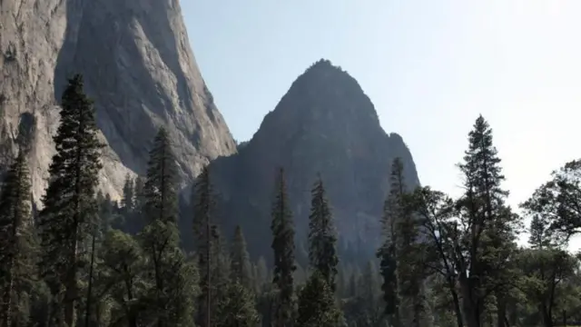 Taman Nasional Yosemite 