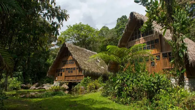 Kabin di tengah hutan