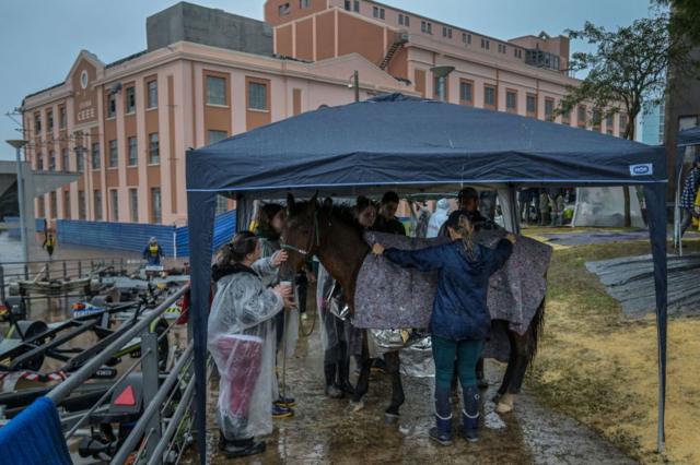 Voluntrios tomando conta de cavalo em abrigo