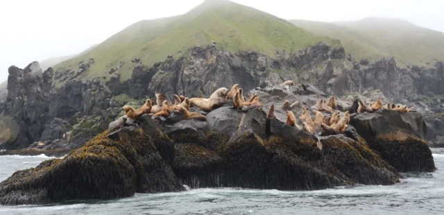 ኡናላስካ ደሴት