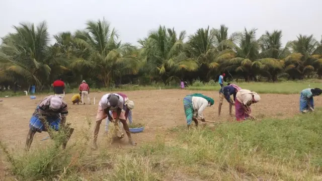 ஈரோடு கொடுமணலில் தொல்லியல் ஆய்வுகள் துவங்கின