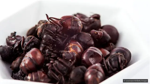 "Толстозадые муравьи"