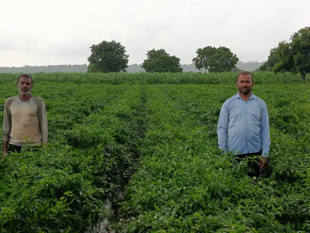 मराठवाड्यातील जालना आणि छत्रपती संभाजीनगर या दोन जिल्ह्यातून मोठ्या प्रमाणात मिरचीची निर्यात बांगलादेशात केली जाते.