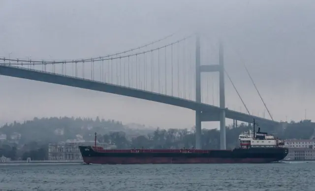 बोस्फोरस और डार्डानेल्स तुर्की के दो अहम स्ट्रेट हैं