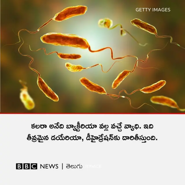 కలరా లక్షణాలు
