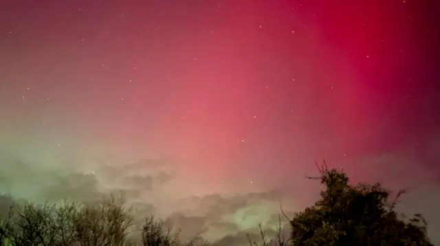 Cielos en Cottenham, Cambridgeshire. Sobre los árboles y arbustos, el cielo resplandece con tonos de verde pálido, que se extienden hasta el rosa y el rojo más intensos.
