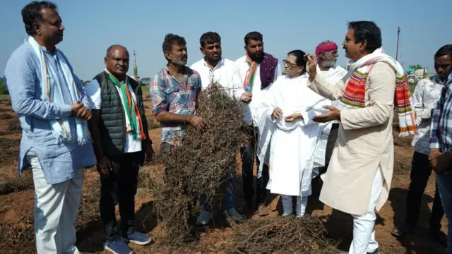 કૉંગ્રેસ જનઆક્રોશ રેલી, ભાજપ, કૉંગ્રેસ અને આપની વ્યૂહરચના, મ્યુનિસિપલ કૉર્પોરેશન, શહેરી તથા ગ્રામીણ મતદારો, સ્થાનિક સ્વરાજ્યની ચૂંટણી મહત્ત્વપૂર્ણ કેમ, ગુજરાત રાજકારણ, બીબીસી ગુજરાતી