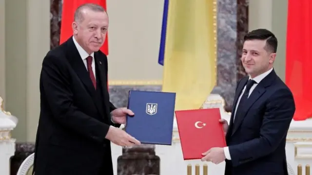 Эрдоган и Зеленский