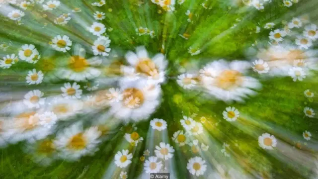 Zamani watu waliamini ukosefu wa usingizi ndio humuua mtu