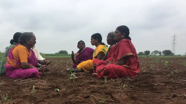 ఫీల్డ్ రిపోర్టింగ్