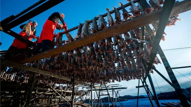 Ще пів сторіччя тому головним багатством Норвегії була риба