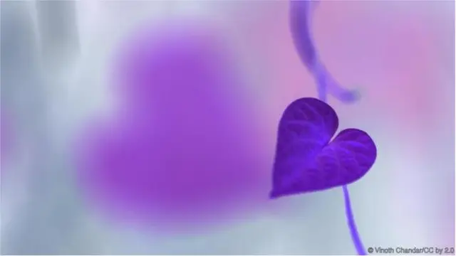 ప్రతీకాత్మక చిత్రం