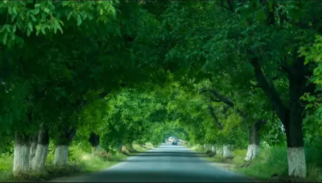 Арстанбапка карай жол...