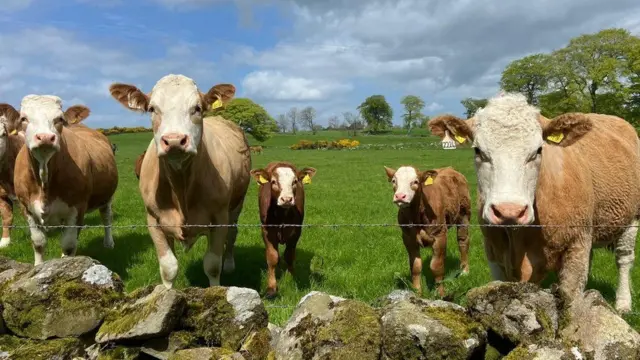 স্থানীয়দের সাথে দুপুরের খাবার: কিম লিস বলেন, “অনেক দীর্ঘ শীতের পর অ্যাবারডিনশায়ারে শেষমেশ বসন্ত আসতে যাচ্ছে।” তার সঙ্গী উইল এই ছবিটি তুলেছেন।