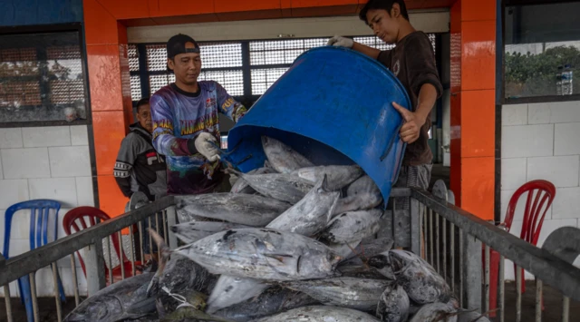 Aktivitas perikanan di pesisir utara Jawa Tengah