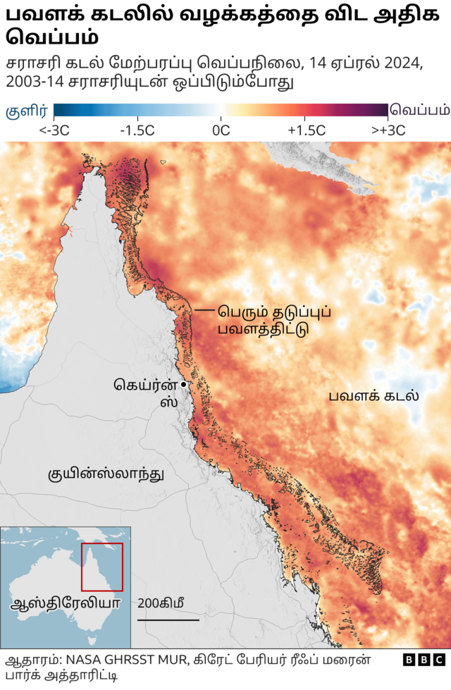 உயரும் கடல் வெப்பம், ஆபத்தில் பவளப் பாறைகள்