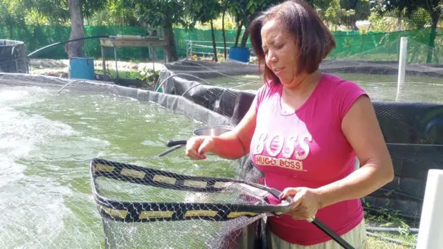 Dioris Rijo criando peces en una piscina en su campo.