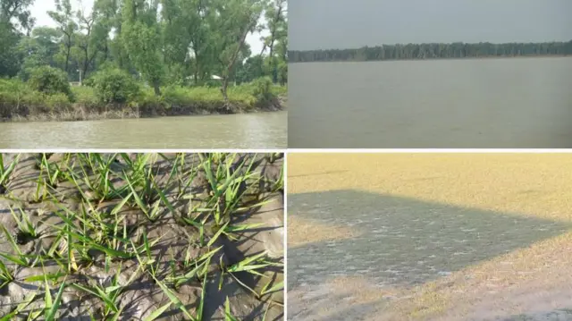 কুয়াকাটা সামুদ্রিক এলাকার বিভিন্ন দৃশ্য
