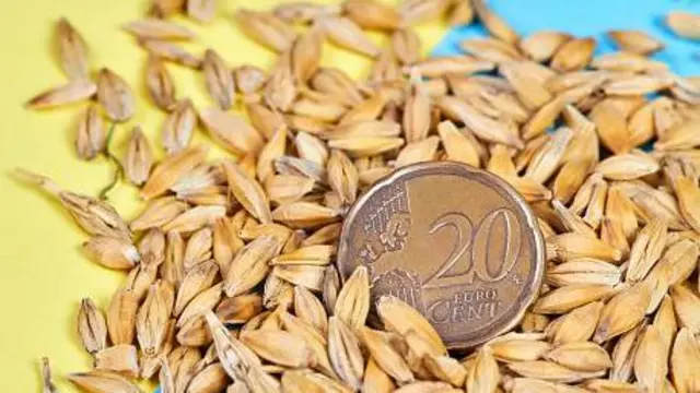 Митний безвіз