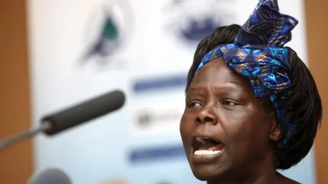 En 2004, Wangari Maathai. biologiste kényane, est la première femme africaine à obtenir le Prix Nobel de la Paix. Elle reçoit la célèbre distinction en vertu de « sa contribution en faveur du développement durable, de la démocratie et de la paix ».