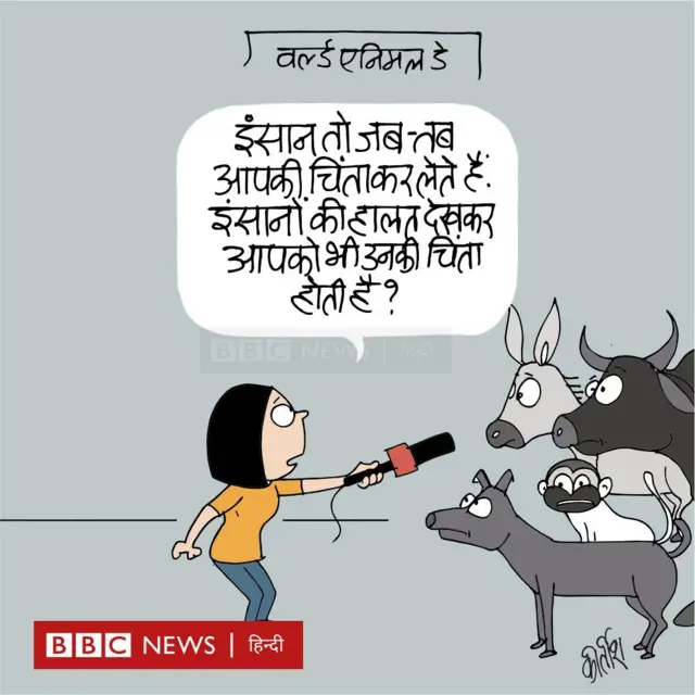 कार्टून