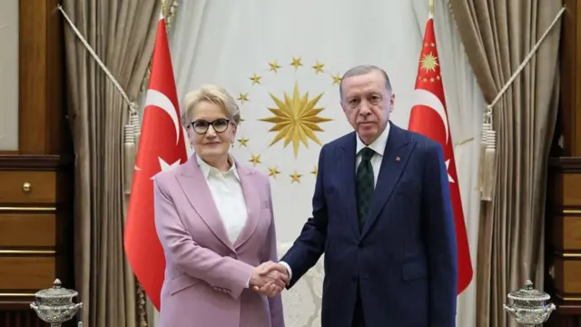 Akşener Haziran ayında Erdoğan ile görüşmüştü.