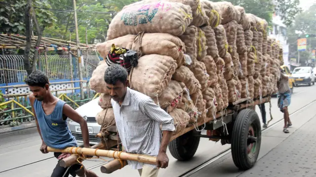 सफेद प्याज