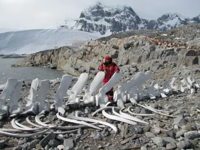 Андрій Утєвський