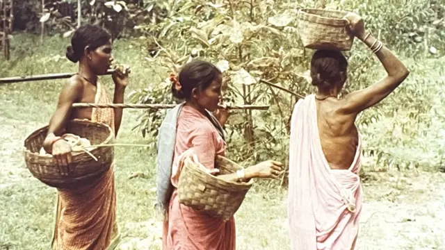 गावच्या प्रत्येक निर्णयात महिलांचा सहभाग लक्षणीय आहे.