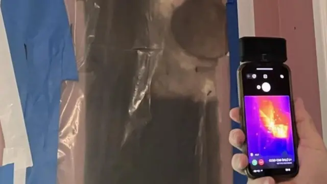 મધમાખી, બાળક, બીબીસી ગુજરાતી