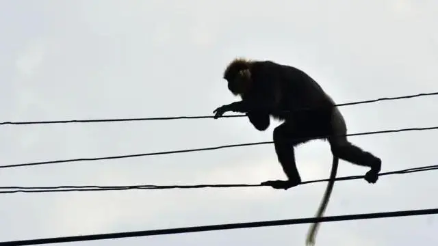 சித்தரிப்புப்படம்