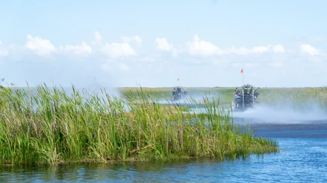 மலைப்பாம்புகளை வேட்டையாடினால் பரிசு