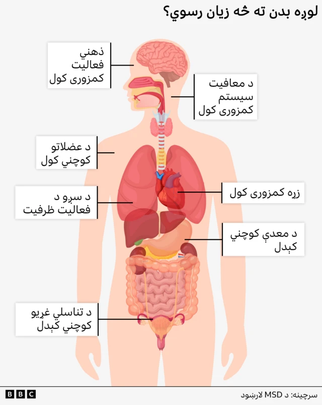 د لوږې اوږ دمهاله اغېزې
